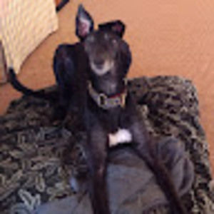 Meet your Posher, Eileen